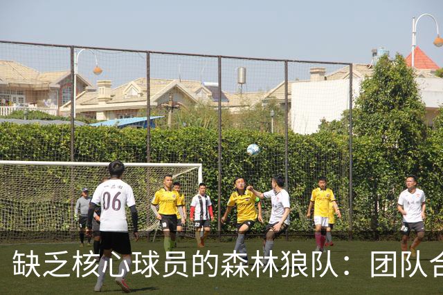缺乏核心球员的森林狼队：团队合作在进攻中的重要性
