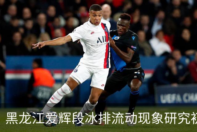 黑龙江爱辉段冰排流动现象研究初探